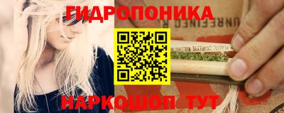 молекула духа Краснодар