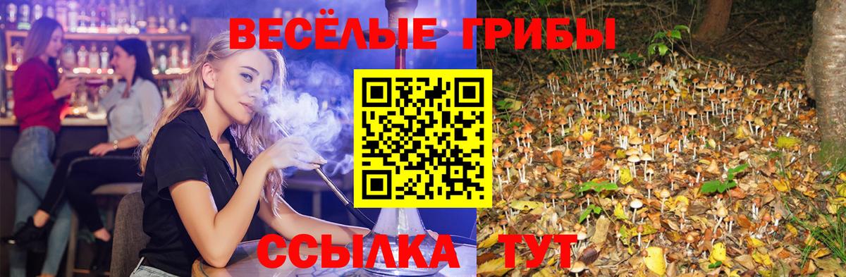 Кинель  Псилоцибиновые грибы GOLDEN TEACHER  Вход с VPN  Псилоцибиновые грибы ЛСД 