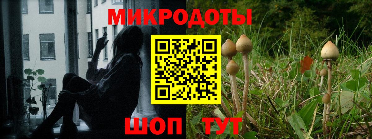 Галлюциногенные грибы ЛСД Кинель